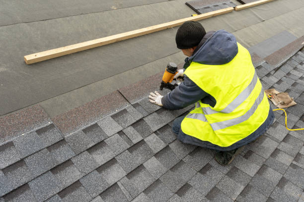 Best Storm Damage Roof Repair  in Nogales, AZ