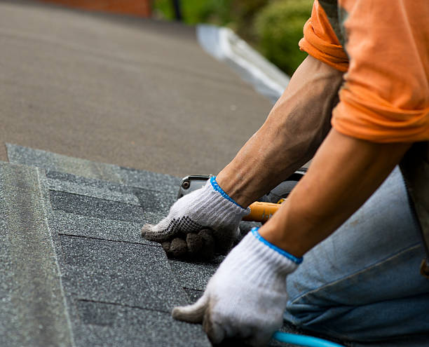 Quick and Trustworthy Emergency Roof Repair Services in Nogales, AZ
